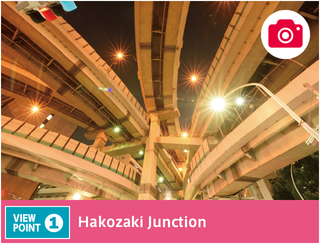 View Point 1 Hakozaki Jucntion