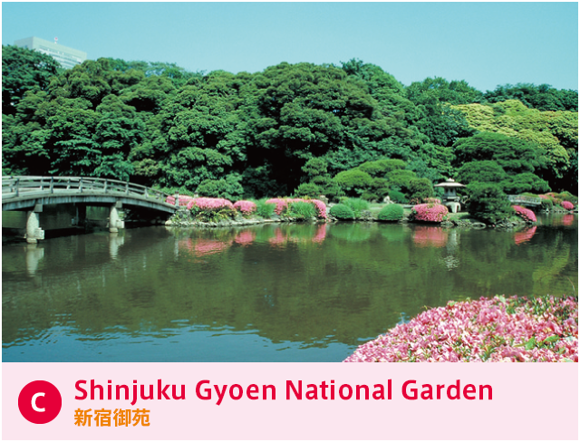 C Shinjuku Gyoen National Garden 新宿御苑