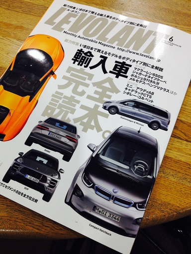 levolant_june2014_title.jpg