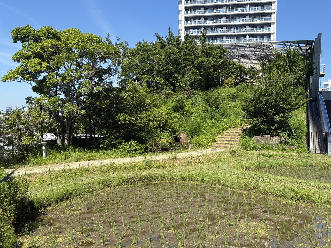 おおはし里の杜