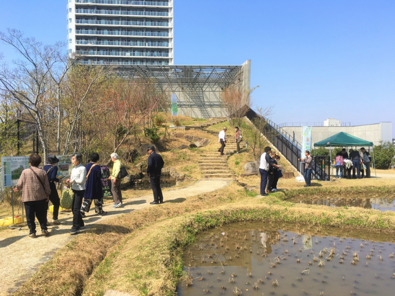 芽吹きが始まる草木