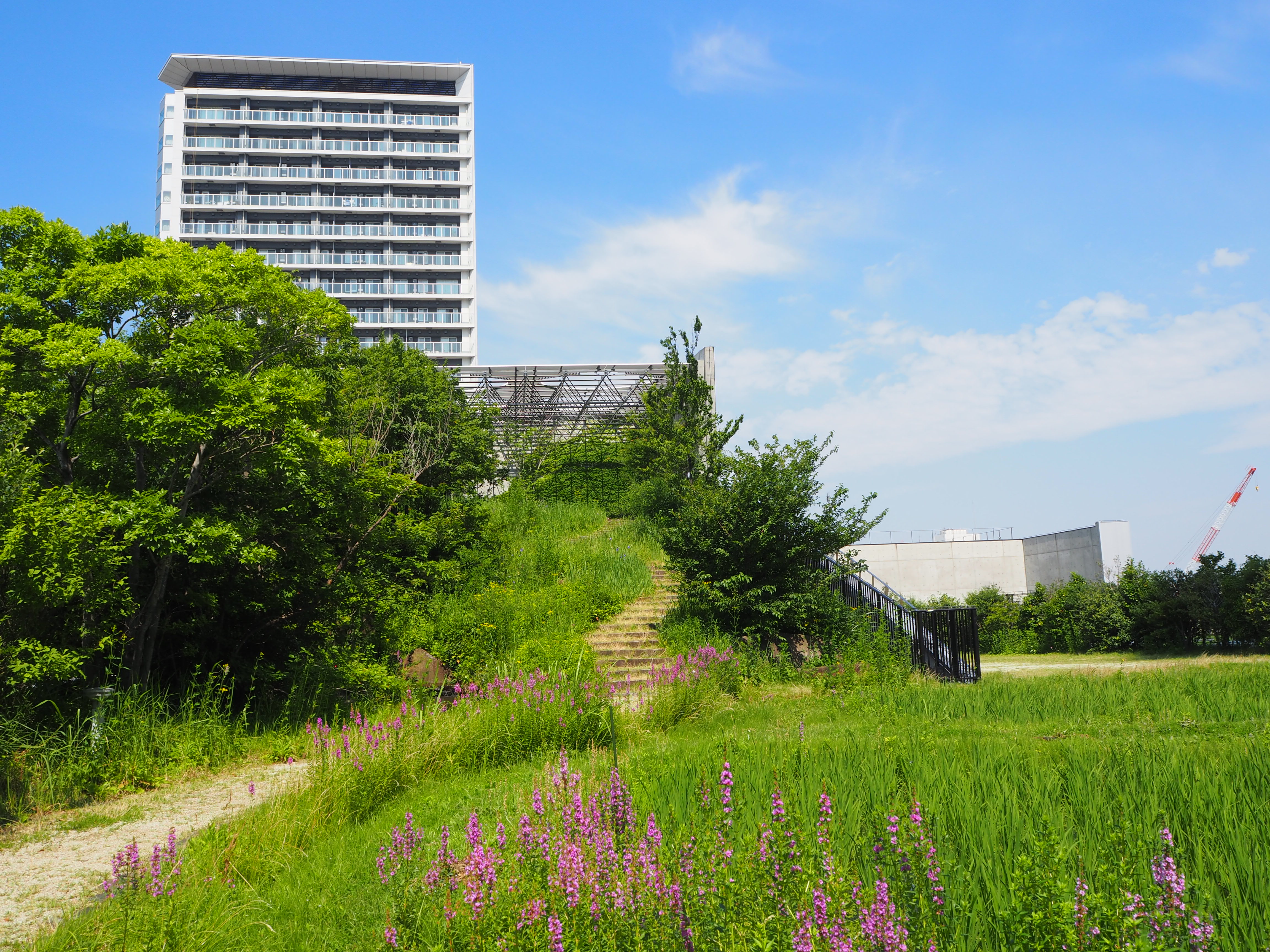 2025大阪・関西万博
