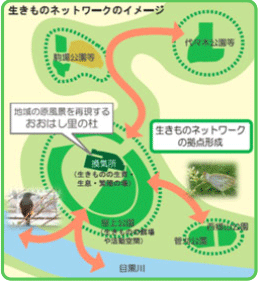 いきものネットワークのイメージ