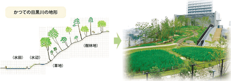 かつての目黒川の地形