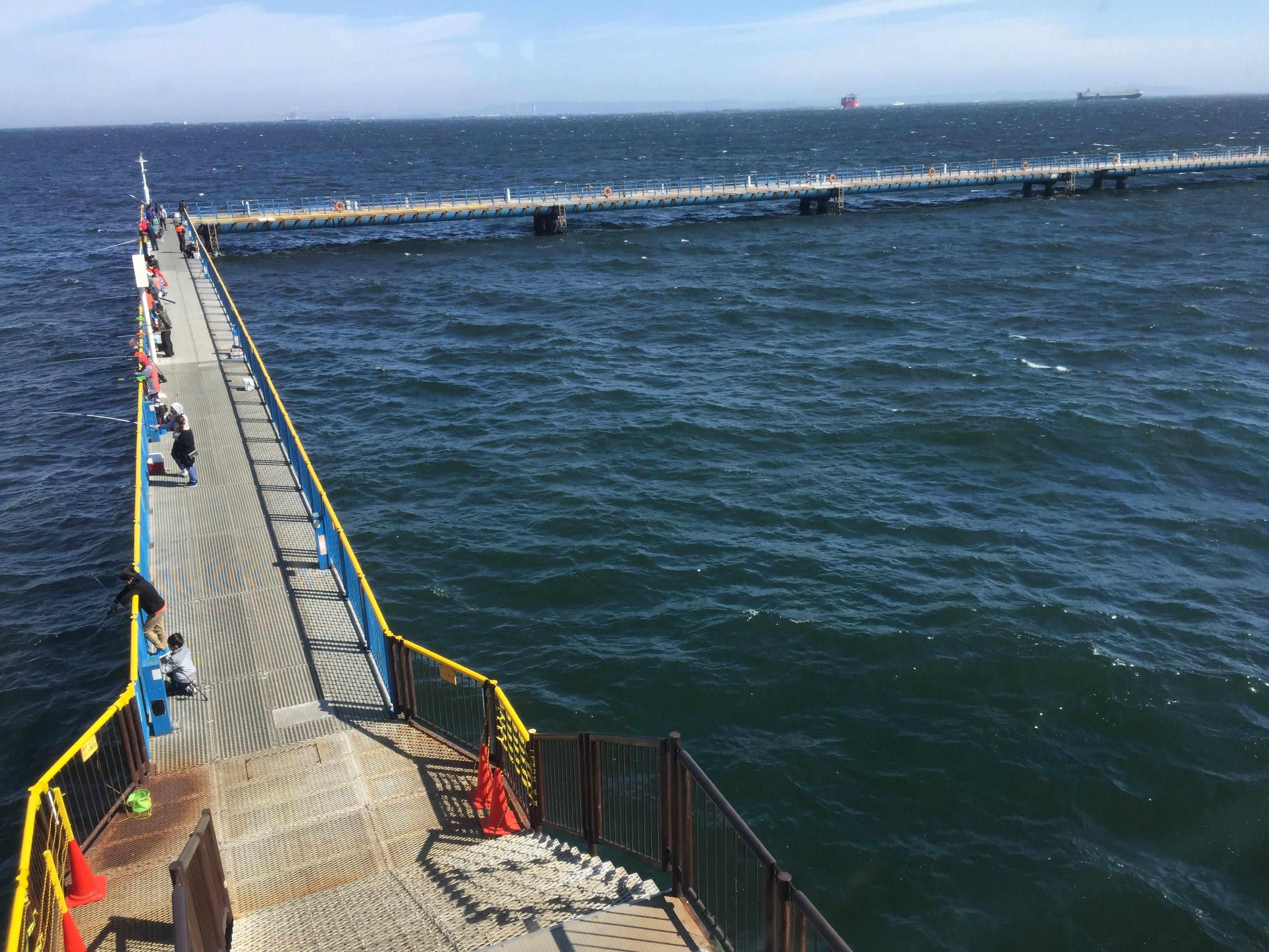 大黒 海 釣り