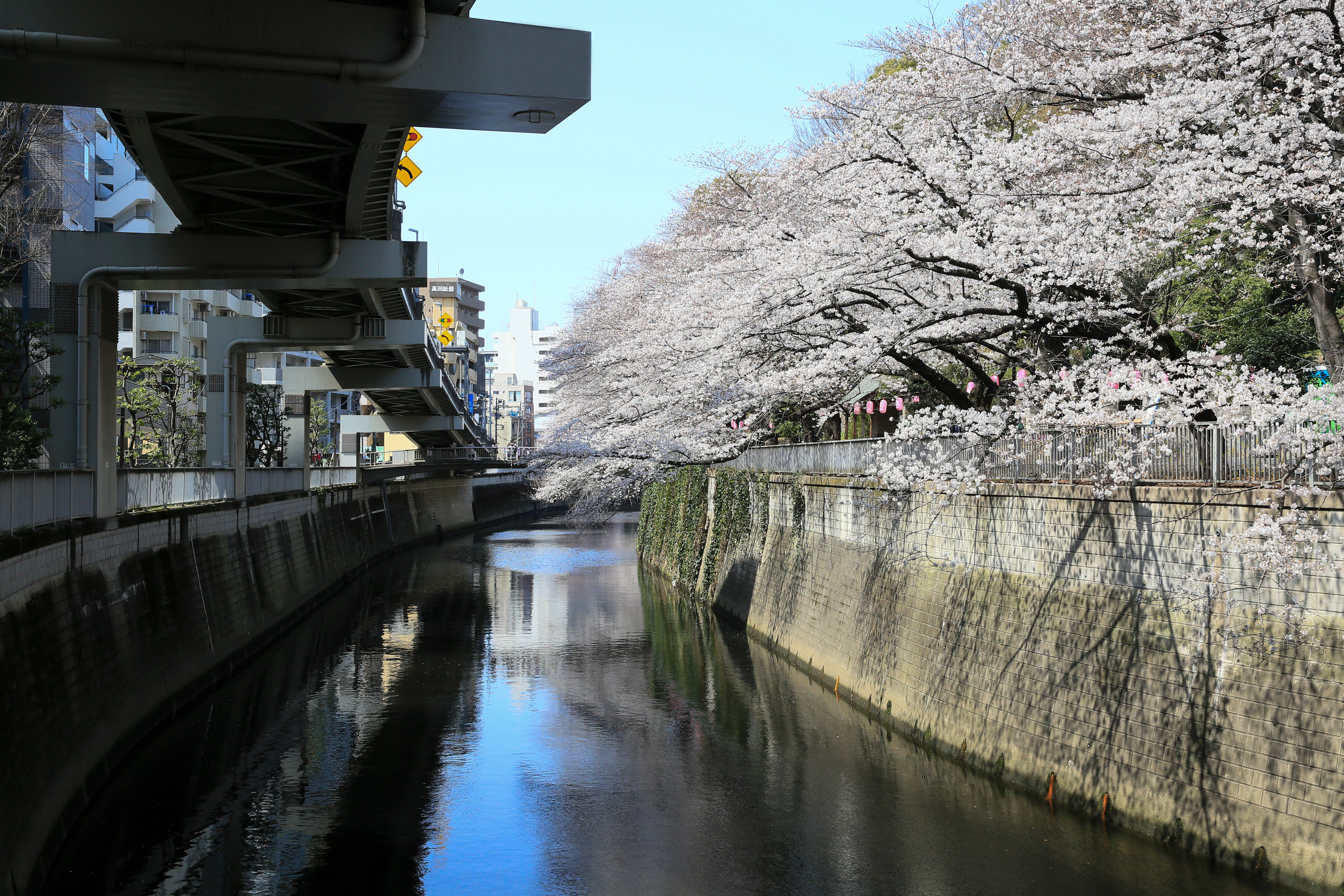 とっておき（早稲田出口付近）.jpg