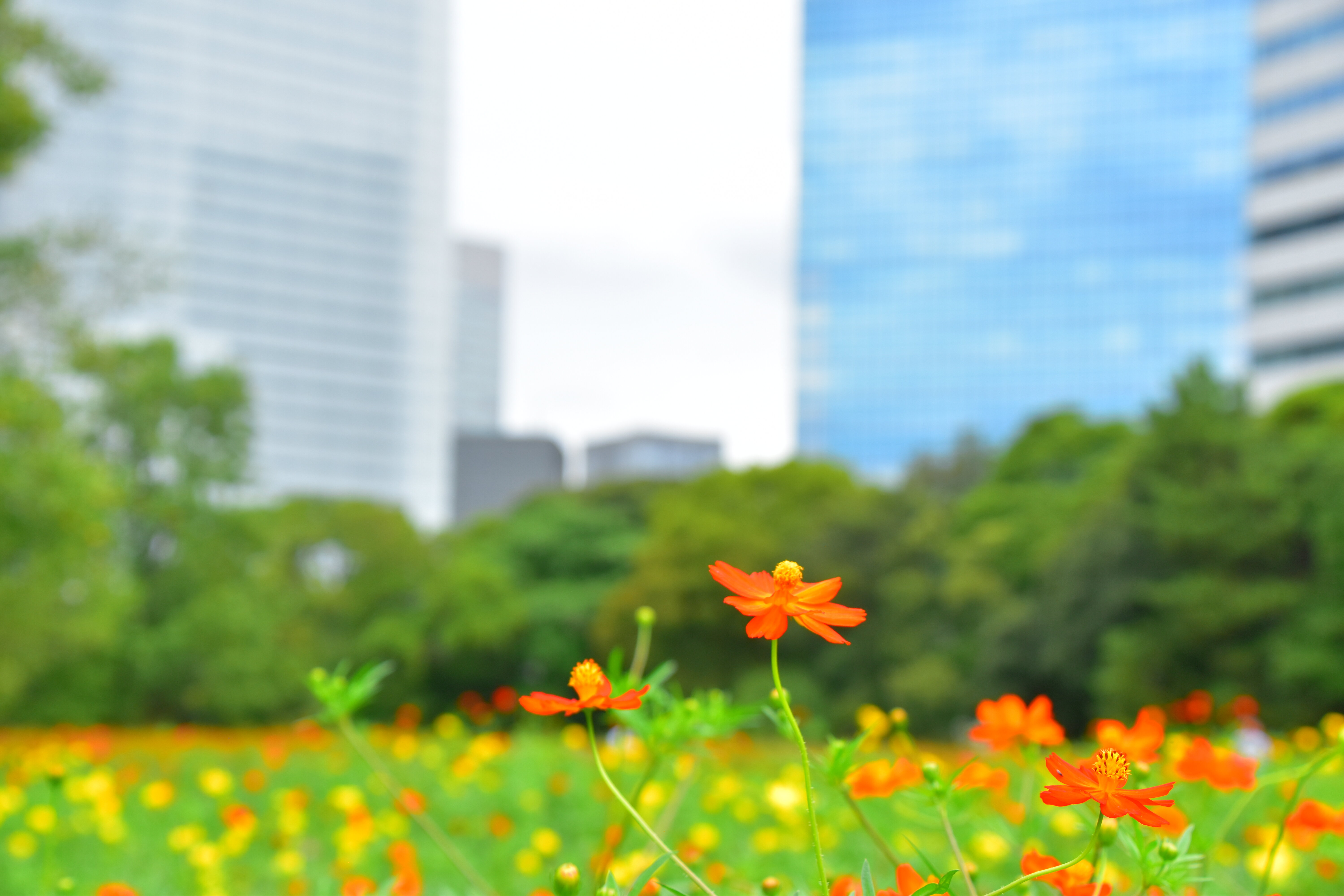 画像4.jpg