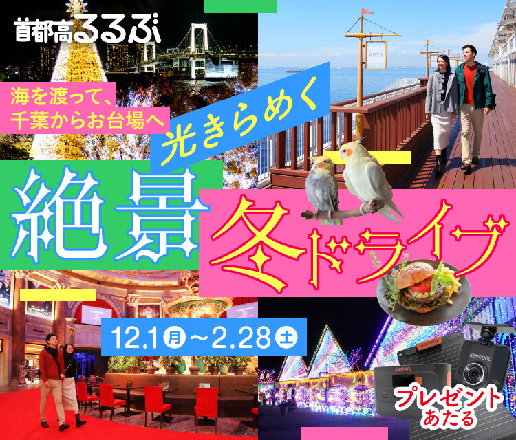 【首都高るるぶ】光きらめく絶景冬ドライブ