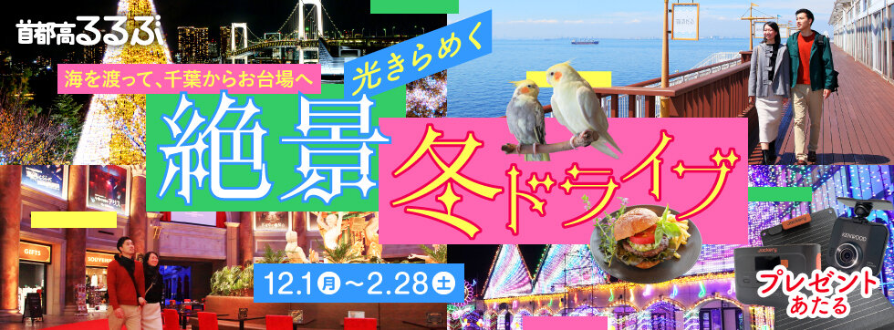【首都高るるぶ】光きらめく絶景冬ドライブ