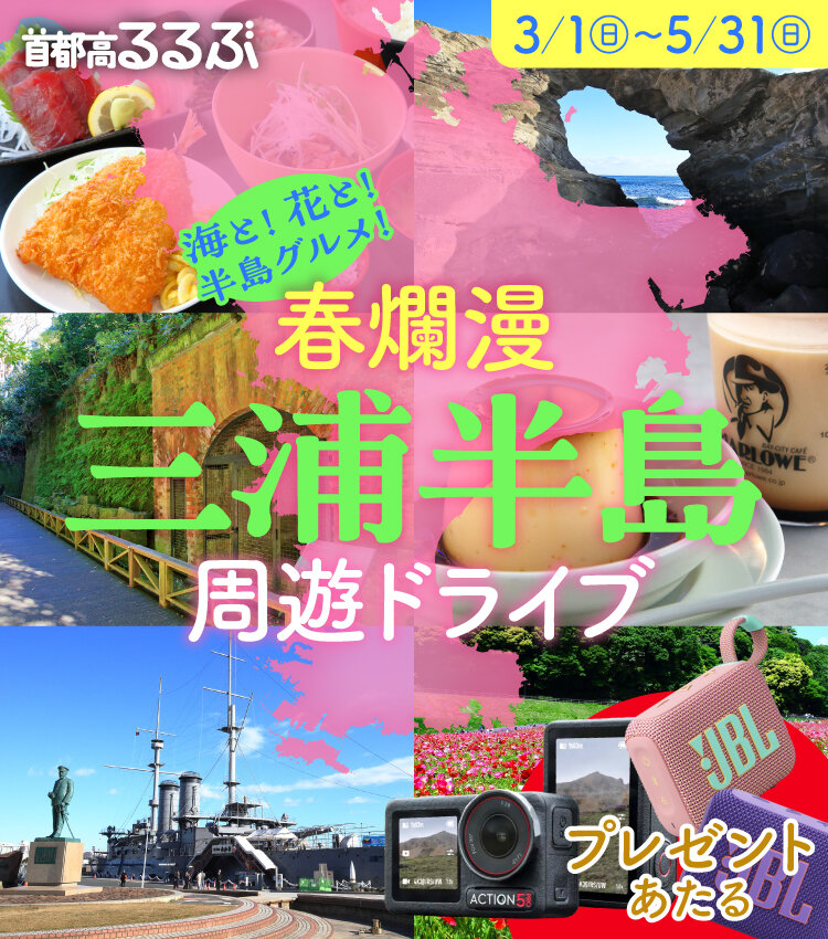 【首都高るるぶ】光きらめく絶景冬ドライブ