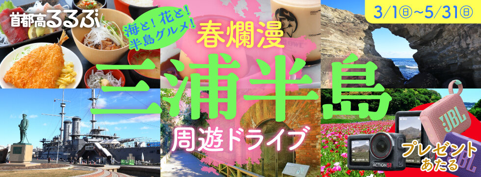 【首都高るるぶ】海と！花と！半島グルメ！春爛漫三浦半島周遊ドライブ