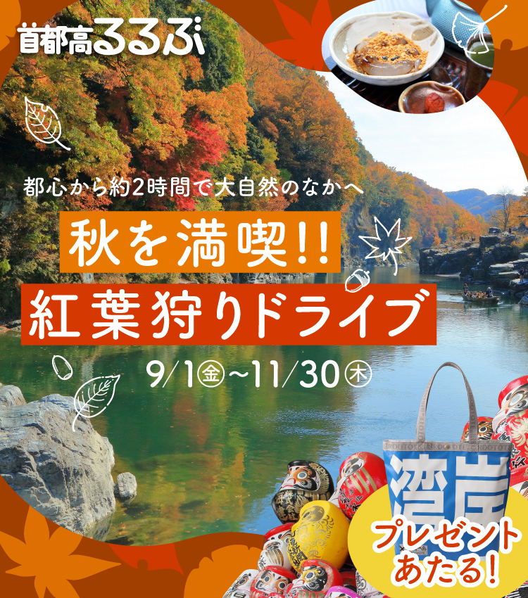 秋を満喫！！紅葉狩りドライブ