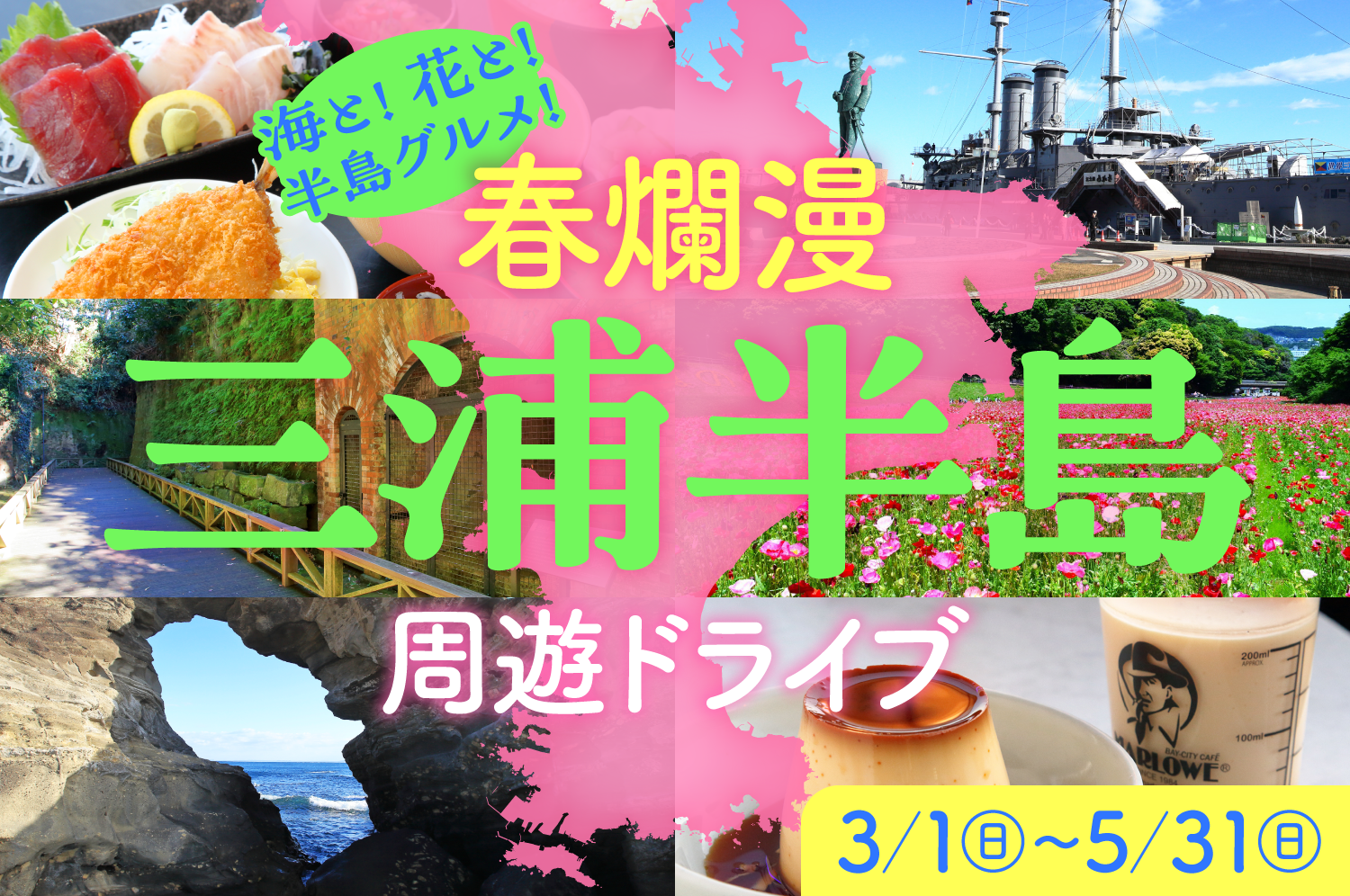 春爛漫三浦半島周遊ドライブ