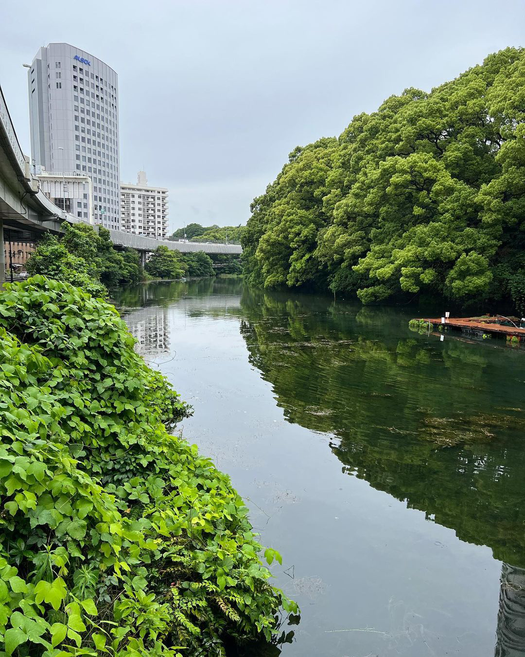 高速4号新宿線