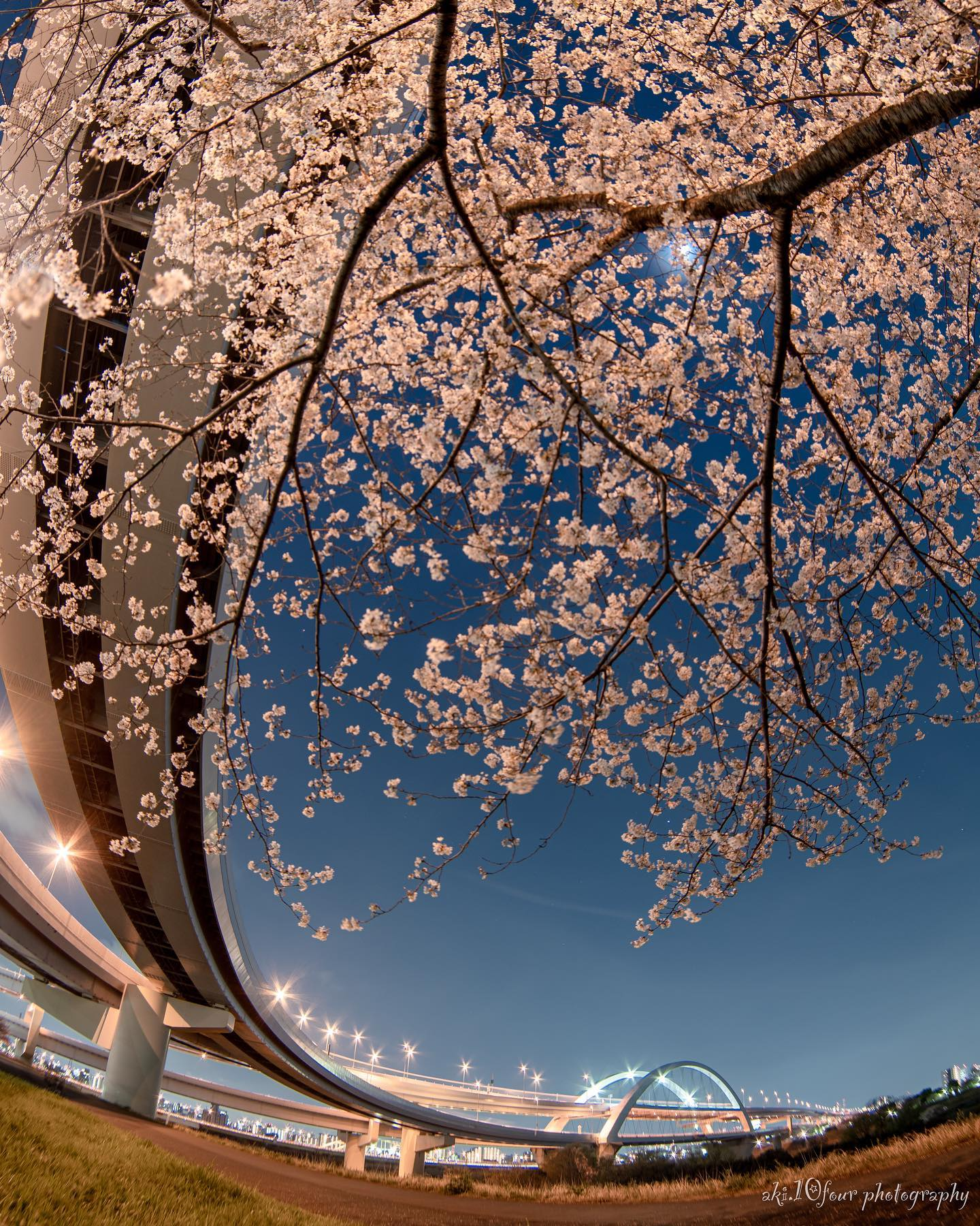 五色桜大橋