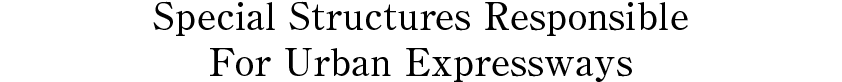 Special Structures Responsible For Urban Expressways